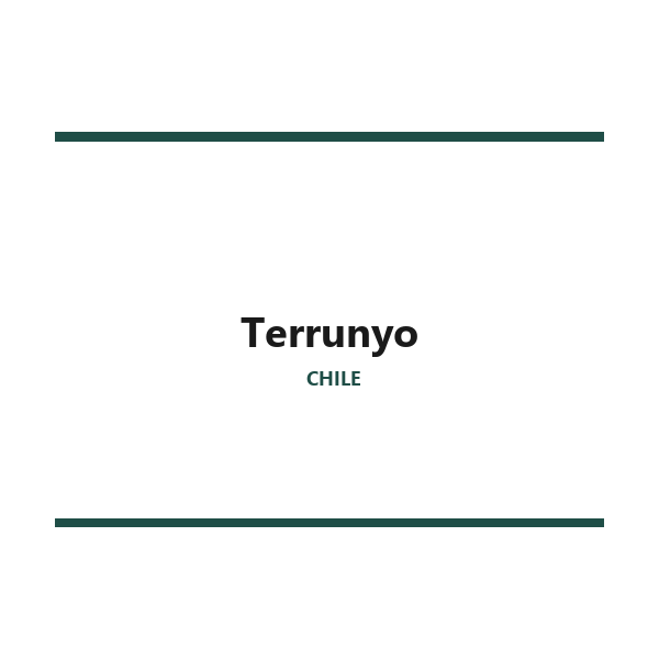 Terrunyo Sauvignon Blanc